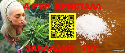 гашик Донецк
