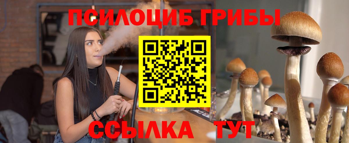 Галлюциногенные грибы Cubensis Надым