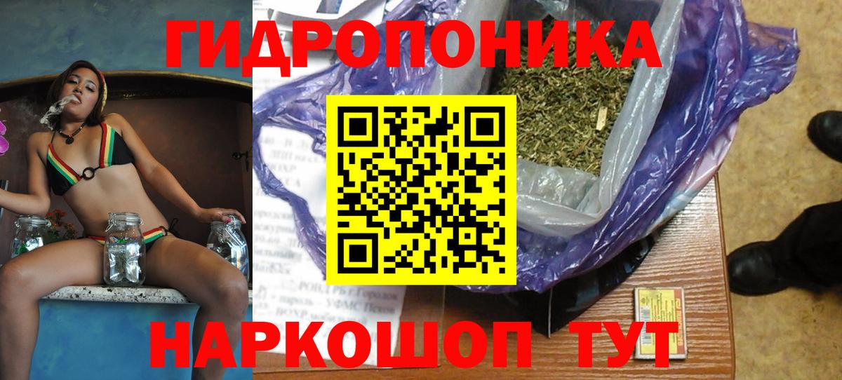 Бошки Шишки индика Надым